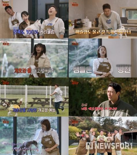 (사진 제공 = JTBC ‘집 나가면 개호강’)