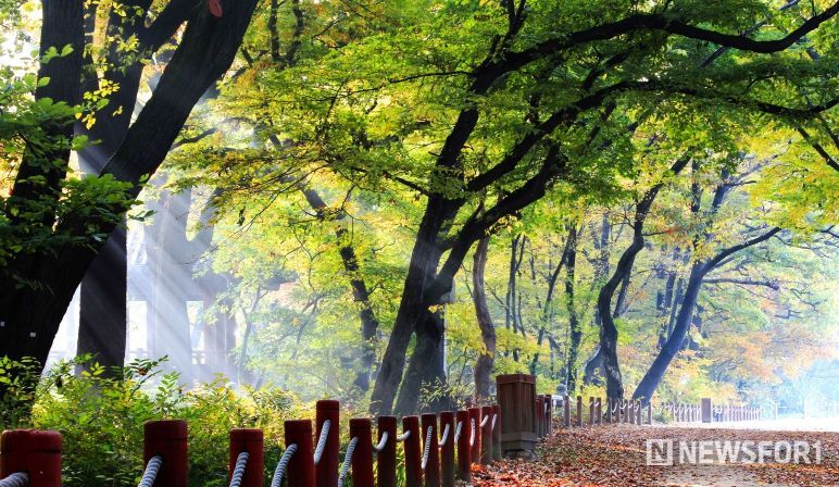 상림공원