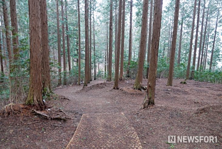 고창치유의숲(출처_마케팅센터)